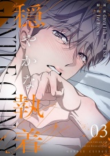 【フルカラー】【特装版】穏やかな執着 3 パッケージ画像