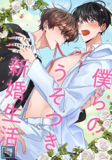 僕らのうそつき新婚生活【全年齢版】(16) パッケージ画像