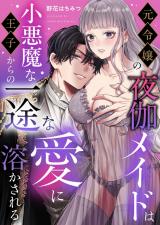 元令嬢の夜伽メイドは小悪魔な王子からの一途な愛に溶かされる パッケージ画像