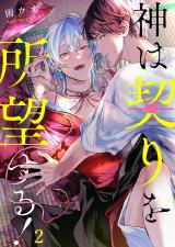 神は契りを所望する！2 パッケージ画像