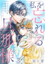 私を忘れる旦那様～七日の恋を何度でも、またあなたと3 パッケージ画像