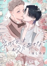 初夜はもう待てない(4) パッケージ画像