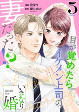 いきなり婚 目が覚めたらイケメン上司の妻だった!? 5巻 パッケージ画像