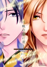 月映の夜に君と（合冊版3） パッケージ画像