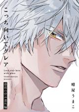 こっち向いてグレア 盛夜の営み番外編【特典小冊子電子版】 パッケージ画像