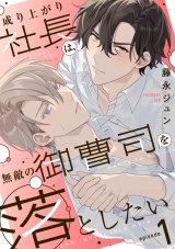 成り上がり社長は、無敵の御曹司を落としたい(1) パッケージ画像
