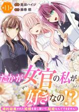 たかが女官の私が好きなの!?　婚約破棄された姫様を差し置いて、結婚なんてできません！11 パッケージ画像