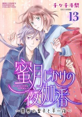 【分冊版】蜜月じかけの夜伽番 〜異界の皇子と千一夜〜  13話 パッケージ画像