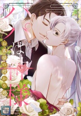 パパは神様〜お狐様の授かり婚【全年齢版】(15) パッケージ画像