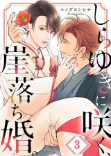 しらゆきに咲く、崖落ち婚。3 パッケージ画像