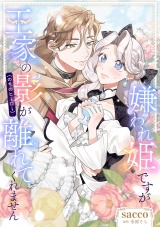 嫌われ姫ですが王家の影（のちのヒーロー）が離れてくれません パッケージ画像