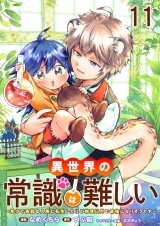 異世界の常識は難しい〜希少で最弱な人族に転生したけど物理以外で最強になりそうです〜　ストーリアダッシュ連載版　第11話 パッケージ画像