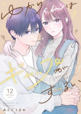 ゆかりくんはギャップがずるい 12 パッケージ画像