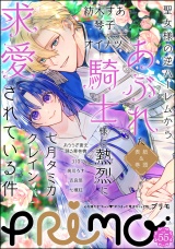 PRIMO Vol.55 パッケージ画像