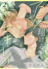 夏翔けるセキレイ2 パッケージ画像