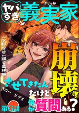 【分冊版】ヤバすぎ義実家崩壊させてきたんだけど何か質問ある？ 【第6話】 パッケージ画像