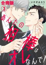 あんたの相棒はオレなんで！【合冊版】3 パッケージ画像