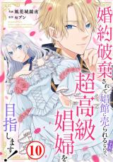 婚約破棄されて娼館に売られる（予定）なので、超高級娼婦を目指します！10 パッケージ画像