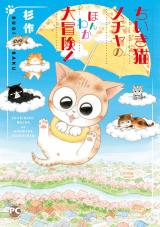 メチャイロちいき猫やってます！4～ちいき猫メチャのほんわか大冒険！～ パッケージ画像