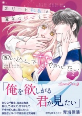 エリート社長は薄幸な彼女を囲い込んで甘やかしたい 2 パッケージ画像