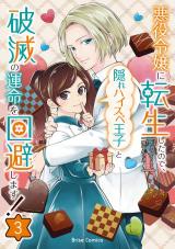 悪役令嬢に転生したので、隠れハイスペ王子と破滅の運命を回避します！3 パッケージ画像