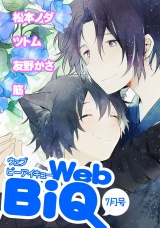 WebBiQ 2013年7月号 パッケージ画像