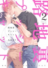 路地裏プッシーキャット2【特典ペーパー／電子限定描き下ろし付き】 パッケージ画像