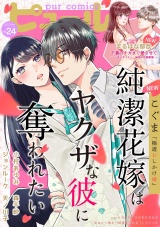 Pur Comics Vol.24 パッケージ画像
