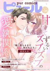 Pur Comics Vol.34 パッケージ画像