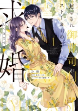 【単行本版】焦らされ御曹司がストーカーのように求婚してきます（１） パッケージ画像
