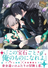 盗賊と王子【ペーパー付】【電子限定ペーパー付】 パッケージ画像