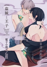 盗賊と王子【電子小冊子／媚薬】 パッケージ画像