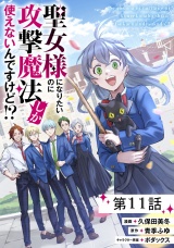 【単話版】聖女様になりたいのに攻撃魔法しか使えないんですけど!? 第11話 パッケージ画像