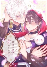 砂漠の花に愛のくちづけ　act.9 パッケージ画像