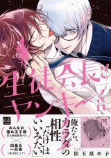生徒会長とヤンキーくん【単行本版／電子限定描き下ろしマンガ付】 パッケージ画像