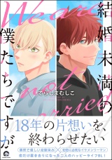 結婚未満の僕たちですが パッケージ画像