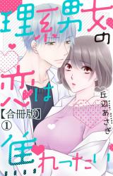 理系男女の恋は焦れったい 【合冊版】1 パッケージ画像