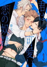 君は可愛い恋の奴隷　3【単話売】 パッケージ画像