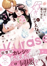抱けど暮らせど「好き」が言えない 3【電子限定漫画付き】 パッケージ画像