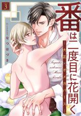 番は二度目に花開く―大正×オメガバース― 分冊版（第3話） パッケージ画像