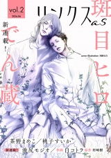 リンクスas vol.2 パッケージ画像