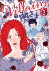 Villainな奥さま　3 パッケージ画像