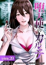 【分冊版】堕天使のカルテ 20巻 パッケージ画像
