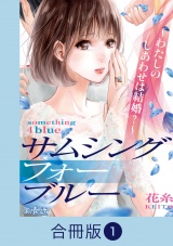 【合冊版】サムシングフォーブルー〜わたしのしあわせは結婚？〜（1） パッケージ画像