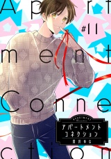 アパートメントコネクション ＃011 パッケージ画像