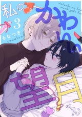 私のかわいい望月くん act.3 パッケージ画像