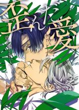 歪んだ愛～君の全てを手に入れるためなら～ パッケージ画像