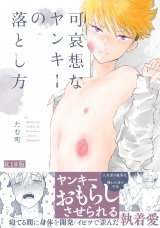 可哀想なヤンキーの落とし方《R18版》 パッケージ画像