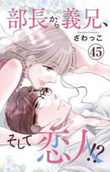 部長から義兄、そして恋人!?45 パッケージ画像