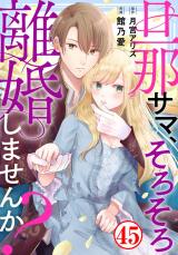 旦那サマ、そろそろ離婚しませんか？45 パッケージ画像